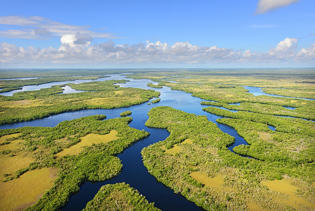 everglades nature tours miami fl