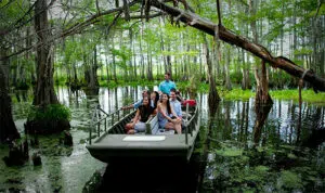 Swamp Adventures louisiane